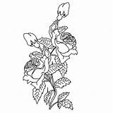 Blumen Ausmalbilder Malvorlagen Rosen Ranken Fensterbilder Rose Kostenlose Blume Blumenstrauss Kinder sketch template