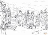 Abednego Shadrach Meshach Ausmalbilder Nebuchadnezzar Ausdrucken Inspirierend Erstaunlich Kleurplaten Nebukadnezar Supercoloring Sadrach Koning sketch template