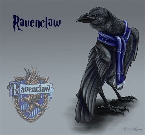ravenclaw  hecatehell  deviantart