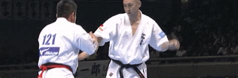 Karate Kyokushin  Find And Share On Giphy