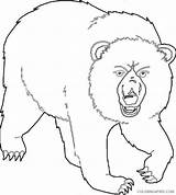 Coloring Bears Coloring4free Related Posts sketch template