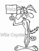 Coloring Coyote Runner Road Pages Wile Roadrunner Looney Tunes Drawing Drawings Print Printable Cartoons Cartoon Kids Getdrawings Choose Board Popular sketch template