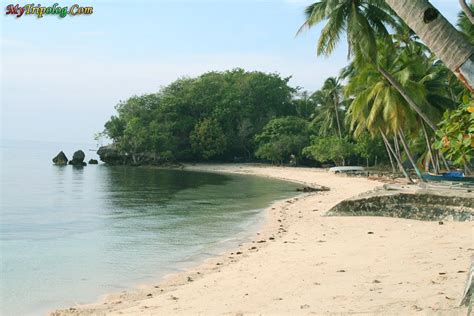 cebu  captivating paradise travel   world vacation reviews