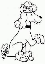 Poodle Coloring Pages sketch template