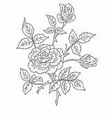 Embroidery sketch template
