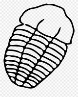 Trilobite Drawing Fossil Clipart Vector Easy Graphics Fossils Draw Cliparts Library Pinclipart Clipartmag sketch template