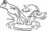 Sapo Pulando Colorat Animale Lago Pesti Imagini Pintar Calut Frog2 Copilul Broscuta Qdb Coroana sketch template