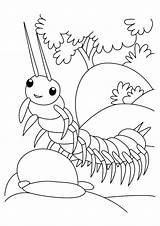 Centipede Coloring Pages Designlooter Insect sketch template