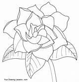 Gardenia Flower Drawings Draw Drawing Coloring Pages Tutorial Gardenias Visit Easy Recognize sketch template