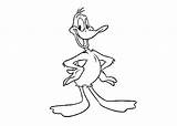 Coloring Looney Tunes Pages Duck Duffy sketch template