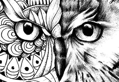 owl mandala tattoo design digital  tattoodesignstock
