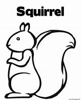 Squirrel Coloring Pages Kids Print Printable Cartoon Easy Clipart Simple Colouring Color Animals Squirrels Preschool Crafts Cliparts Prints Outline Dog sketch template