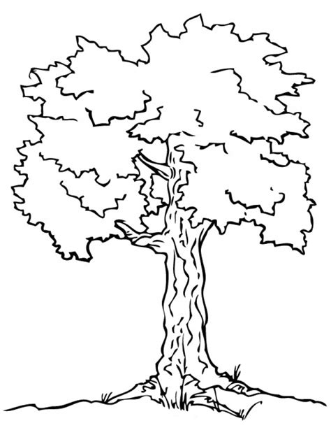 printable tree coloring pages printable blank world
