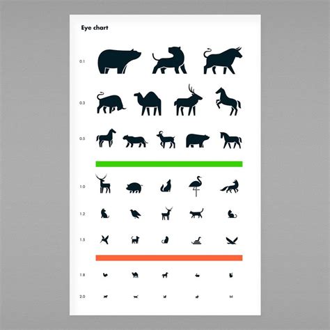 animal eye chart design  behance eye chart chart design chart