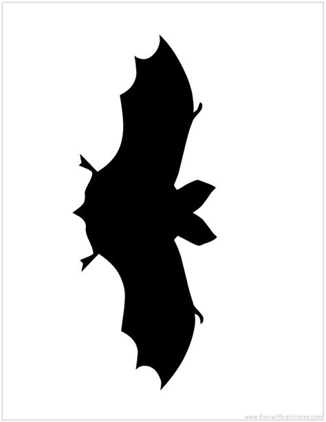 batty  bats images  pinterest