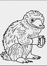 Niffler Fantastic Beasts Coloring Tierwesen Phantastische Creature Wikihow Hogwarts Nifflers Step sketch template