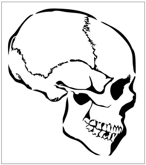 images  skull stencils  pinterest  day   dead