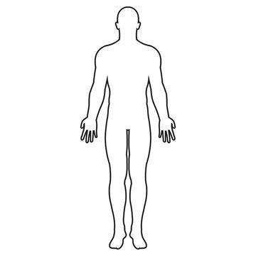 male body outline template