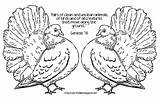 Coloring Pigeons Two Creatures Unclean Pairs Move Clean Bird Animals Text Description Color sketch template