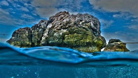 Sail Rock Koh Tao Diving Roctopus Dive Scuba Thailand