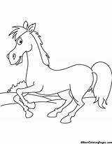 Horse Coloring Galloping sketch template