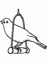 Canary Coloring Pages Bird Cage Birds Color Print Printable Getcolorings Recommended sketch template