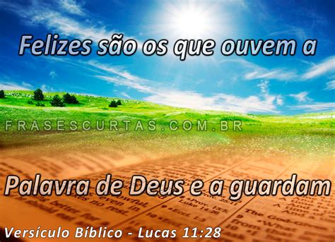 frase biblica imagui