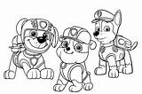 Patrol Paw Rubble Ausmalbild Zuma Kleurplaat Canina Patrulha Imagensparacolorir sketch template