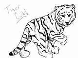 Cub Cubs Cute sketch template