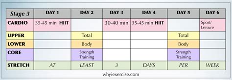 exercise program workout calendar   guide  exercise