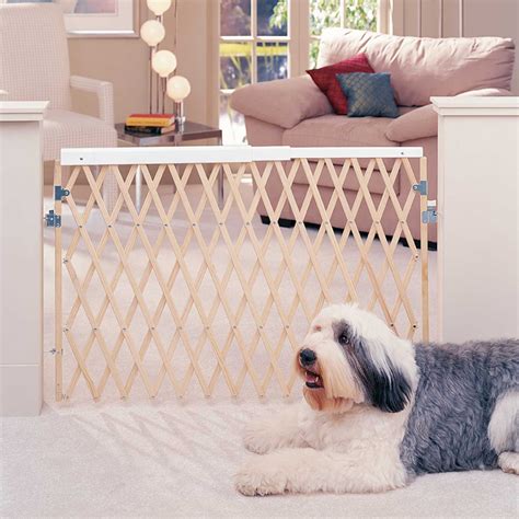 north states expandable swing pet gate petco