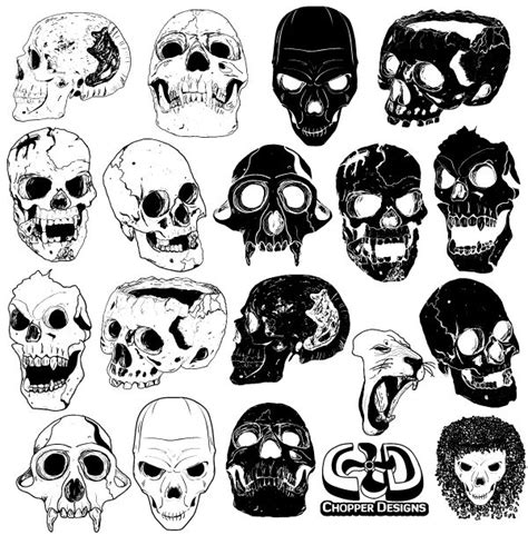 skull vector graphics skulls drawing skull artwork skull art