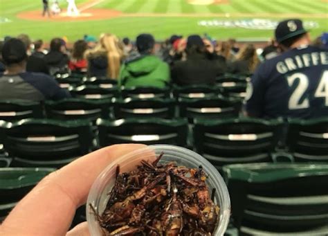 Seattle Mariners Fans Are Eating An Alarming Amount Of Insects This
