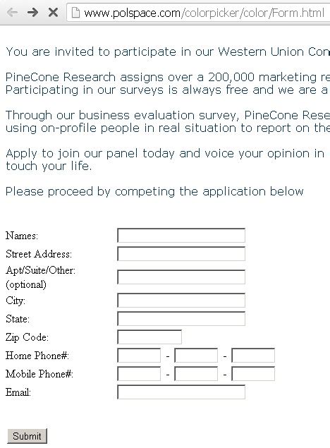 concept study   participation pinecone research