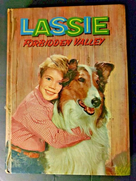 Vintage 1959 Lassie Forbidden Valley Book By Doris Schroeder Etsy
