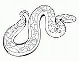 Schlange Ausmalbilder Erwachsene Drucken Kobra sketch template