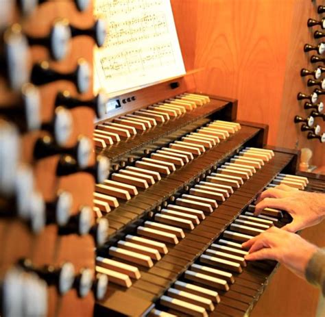 evangelische kirche forscht weiter zu schimmel  orgeln welt