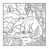 Anteater Colorless Xenops sketch template