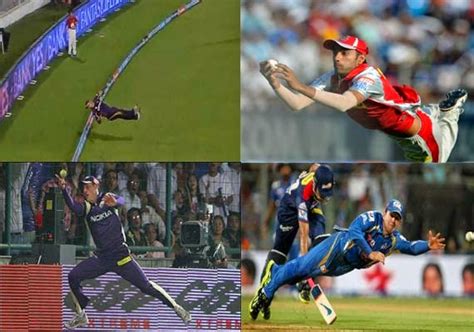 top   catches sports champions