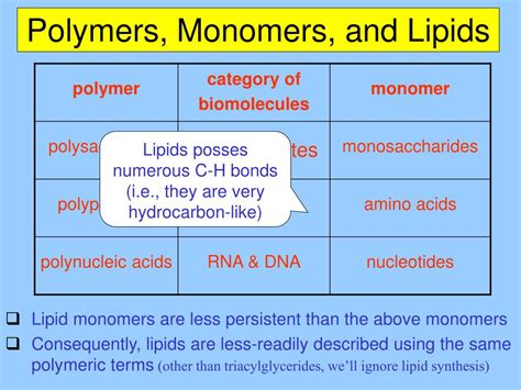 Ppt Chapter 5b The Structure And Function Of Macromolecules Lipids