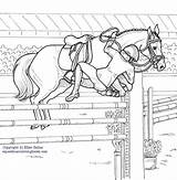 Horse Coloring Pages Jumping Show Jumper Hunter Color Printable Print Getcolorings Getdrawings sketch template