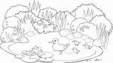 Pond Coloring Pages Drawing Color Pag Print sketch template