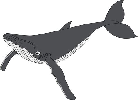 clip art baleine whale clipartix