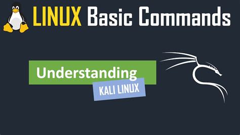 Linux Basic Commands Kali Linux Linux For Beginners Youtube
