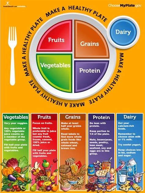 plate poster myplate poster etsy