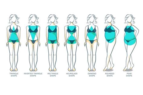 female body types chart