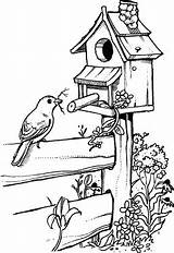 Bird Drawing Coloring Drawings House Pages Birdhouse Houses Fence Birdhouses Pyrography Stamps Patterns Easy Sketches Pencil Birds Line Para Burning sketch template