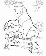 Bear Coloring Pages Related Post Kids Polar sketch template