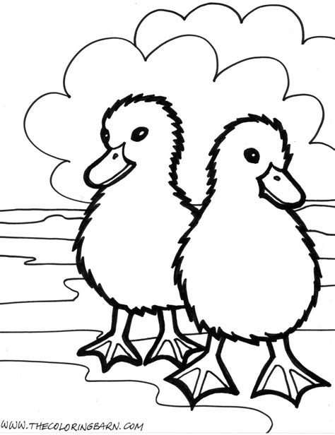 farm animals simple sketches bing images farm animal coloring pages