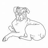 Boxer Dog Coloring Pages Down Lying Color Print Printable Template Kids Getcolorings Tocolor Button Using sketch template